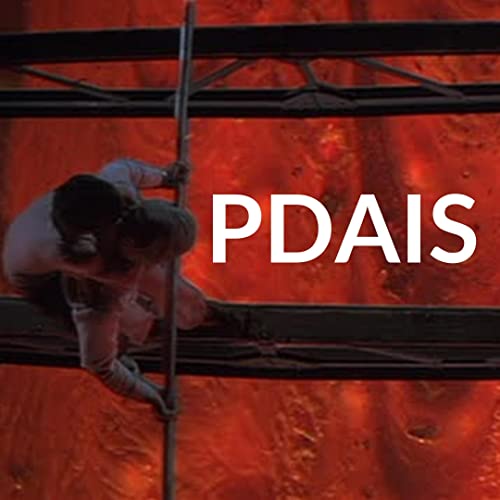 PDAIS 5.29 Rollercoaster and When Time Ran Out