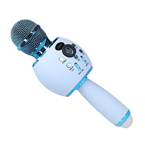 Altavoces Bluetooth Portatiles Grandes Marca Delaman