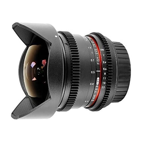 Samyang Fisheye   Objetivo (8 mm, T 3,8, para cámaras réflex Digitales Video Micro Cuatro Tercios)