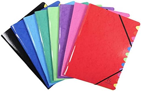 Exacompta Aquarel Fächermappe DIN A4 - 12 Fächer Mit Gummizug In Zufallsfarbe