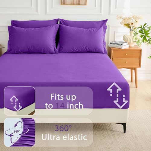MUXHOMO 7 Pieces Queen Comforter Set, Soft Bed in a Bag Queen Size, All Season Bedding Set with Comforter, Flat Sheet, Fitted Sheet, Pillowcases & Shams, Purple