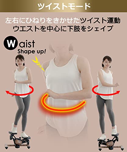 東急スポーツオアシス ツイストエアロステッパー Premium プ