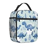 Mexpekil Bolsa de almuerzo aislada para niños, azul y gris, lindo dinosaurio, para niñas y niños, bolsa de almuerzo reutilizable, térmica, a prueba de fugas, para la escuela, el trabajo, campamento