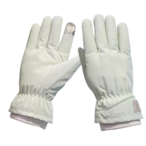 Aissiora  h X}zΉ fB[X XL[O[u X|[cO[u Xm[ AEghA hO[u h  ʋC ~ ~ߕt NC~O Xm{[O[u oR V TCNO WMOH~p