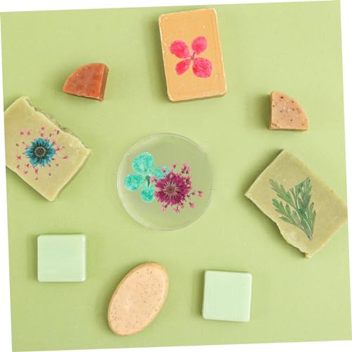 TEHAUX 6 Caixas Com Epóxi Preenchido Com Flores Secas Marcador De Plantas Adesivos De Metal Adesivos