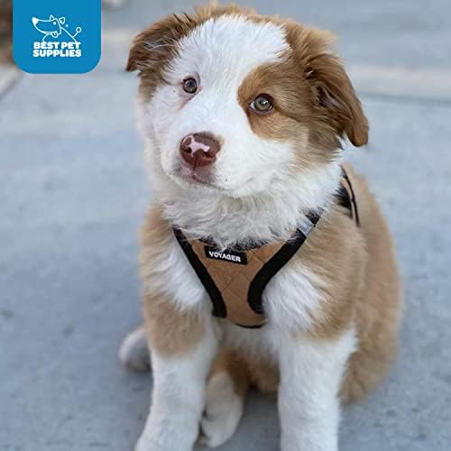 Voyager Step-In Plush Dog Harness  Soft Plush, Step In Vest Harness for Small and Medium Dogs by Best Pet Supplies - Beige Plush, S (Chest: 14.5-16")