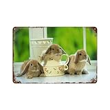 Matériau : métal (fer), fer blanc