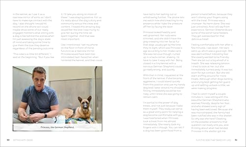 Image of Sitting with Dogs: Stories of Rescue Dogs Going from Lost to Loved