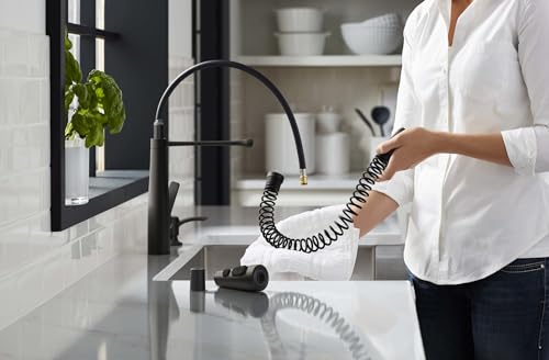 Kohler REC22745-SD-BL Semi-Professional Kitchen Faucet thumb #2