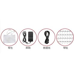 MidiPlus Piano électrique portable pliable de 88 touches - Les Beatles, Paul McCartney, John Lennon, RIngo Starr, George Harrison MidiPlus Piano électrique portable pliable de 88 touches – Image 5