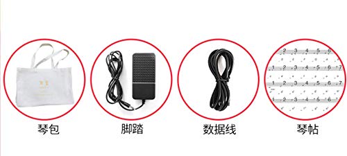 MidiPlus Piano électrique portable pliable de 88 touches - Les Beatles, Paul McCartney, John Lennon, RIngo Starr, George Harrison MidiPlus Piano électrique portable pliable de 88 touches – Image 6