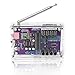 FM Radio Kit Soldering Practice Kit DIY Electronic Kits Radio DIY Kit Digital DIY Soldering Project Kit ISolderStore