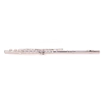 Amazon.com: Trevor James Silver Flute Model 10XC - G Key