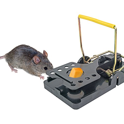 Itrap Easy Set Snap Rat & Mouse Traps W/ Bait Cups, 8 Pack - Simple Deadly Pest Control #TOP2