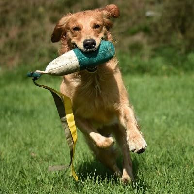 Romneys Longtail Marker Dummy | Standard Dummy 500g mit Zwei Flatterbändern | Zweifarbig | Weiß-Grü