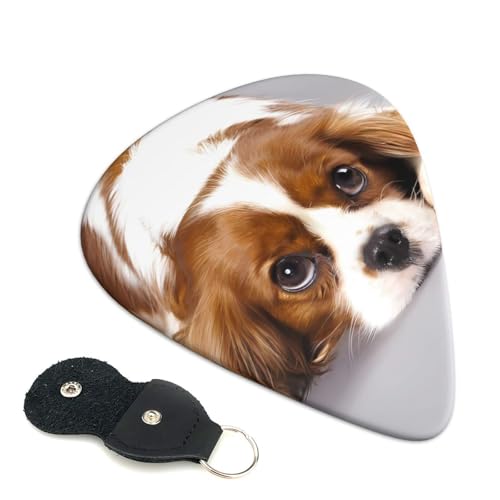 vX`bNsbN 킢GLM^[sbN XpjG y Aj t@bV yD S gCAO sbN 6Zbg 0.71mm