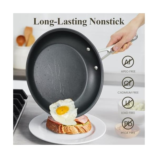 Hard anodized nonstick cookware sets 10 piece with stainless steel handle pots and pans set non stick kitchen induction cooking sets dishwasher safe oven safe essential  urban country home decor