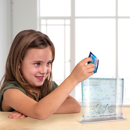 Aqua Dragon Underwater World Aquatic Pets, STEM-Lernspielzeugset, lebende Haustiere ausbrüten und wachsen Lassen, Eier, Futter, Löffel, Lupe, für Kinder ab 6 Jahren, 17 x 6 x 18 cm
