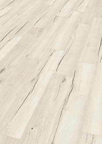 EGGER Home Laminatboden Aqua+ EHL105 Creston Eiche weiss (8mm, 1,995m²) | authentische Holzoptik | | Einfache Verlegung durch CLIC It! System | Wasserresistent & feuchtraumgeeignet