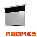 Celexon Motorleinwand Professional Plus 240 x 135 cm - 8