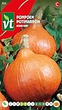 Contenu du paquet (grammes): 2 - Graines par gramme: 6