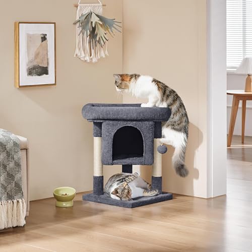 Yaheetech Kratzbaum 60 cm Kleiner Katzenkratzbaum, mit Katzenhöhle Plüsch Sisal, Katzenbaum Katzenmöbel Spielbaum für kleine Katzen, Dunkelgrau