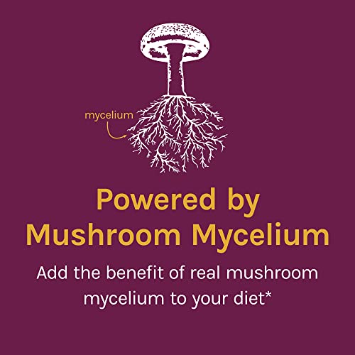 Host Defense Turkey Tail Mushroom Powder - Digestive Health & Immune Response Support Supplement - Mushroom Supplement for Gastrointestinal & Gut Microbiome Support - 3.5 oz (66 Servings)* - Image 6