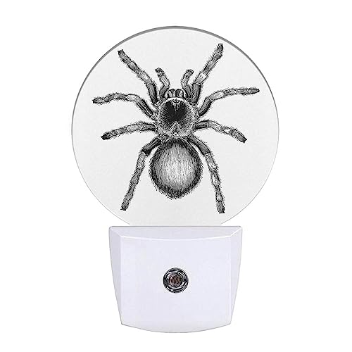 Image of White Black Spider Net Night Light Creepy Scary Spider LED Dusk to Dawn Plug-in Nightlight Auto Sensor for Bedroom Bathroom Hallway Living Room
