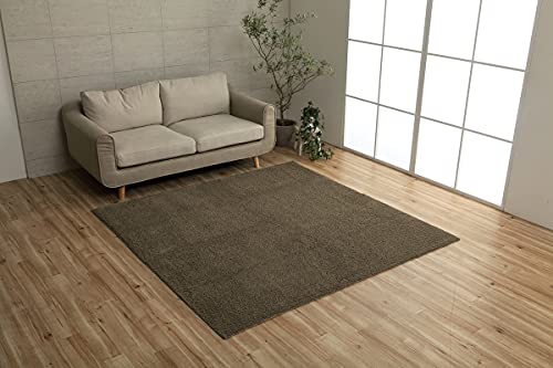 イケヒコ ラグ カーペット マット プリーム 約90×185cm ブラウン オールシーズン シンプル オーバーロック #3985369