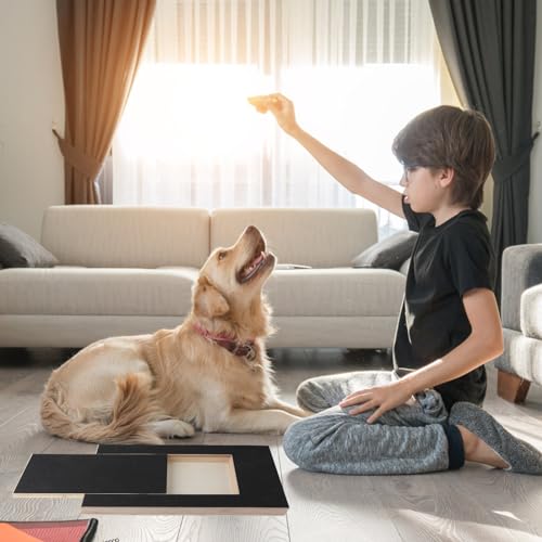 XIHIRCD 5 Stück Hunde Kratzbrett Schleifpapier Ersatz 35 x 25 cm, Emery Hunde Schleifpapier Kratzpad Selbstklebendes Sandpapier Hundekratzer mit Snack-Schublade für Haustiere, Pediküre, Trimmen