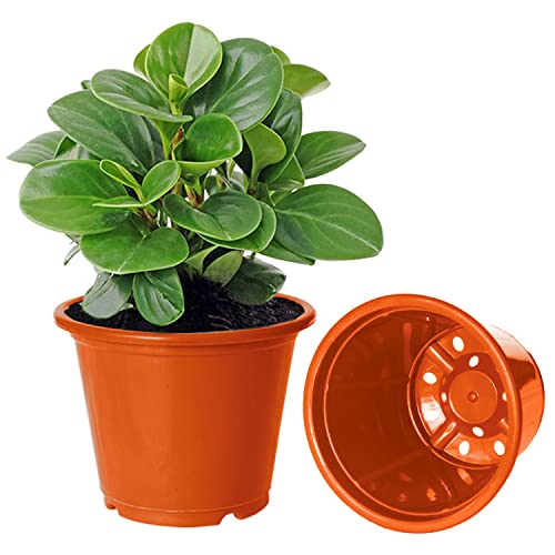 Image of Kuber Industries Durable Plastic Flower Pot|Gamla with Drain Holes for Indoor Home Decor & Outdoor Balcony,Garden,6 inchx5 inch,Pack of 3 (Orange)