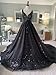 PFTFB Gothic Black Bridal Gowns Tulle Wedding Dresses for Bride 2024 V Neck Wedding Dresses with Train Plus Size 14
