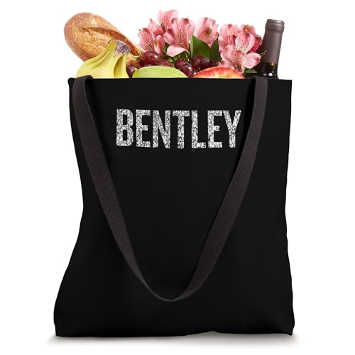 Bolso Tote BENTLEY 16 pulgadas miniatura 4