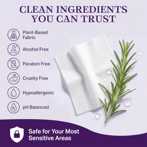 Image of Batiyeer 10 Pack After Party Wipes, Oversized Flushable Wipes for Adults PH Balanced for Women Intimate Parts Body Face Travel Personal Hygiene
