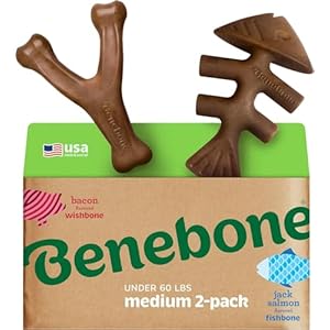 Benebone 2-pack Fishbone/Wishbone Durable Dog Chew Toys, Real Fish, Real Bacon, Made in USA, Medium
