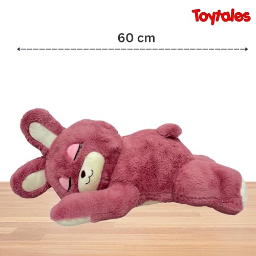 Image of TOYTALES Sleeping Bunny Super Soft Plush Toy for Kids - 60CM