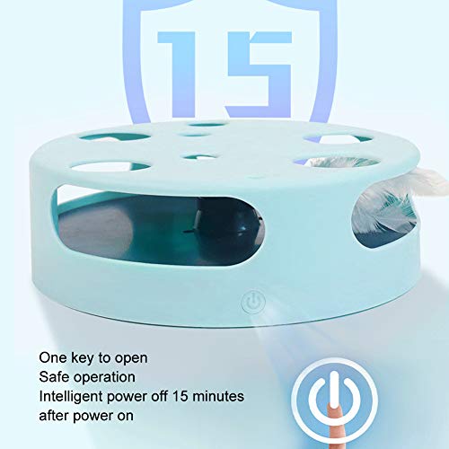 Fishawk Brinquedo para gatos e gatos, toca-discos para animais de estimação, animais de estimação pa