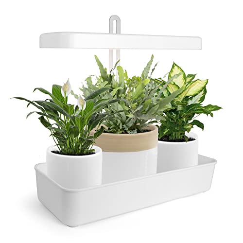 GrowLED Indoor Herb Garden, Herb Garden, 20W Grow Light, Height Adjustable, Self-Watering Window Box Included, Kitchen Herb Garden Kit, High PPFD, Smart Timer, Hydroponic Kits Included (No Seeds)