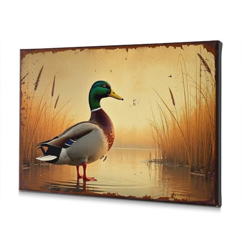 Toile canard colvert : tableau imprimé nature pour décoration murale 40x60
