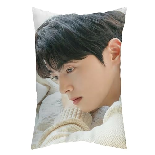 �`���E�k ASTRO �����r�� �����T�i �W���W�� ������ �b�V���� ���ʃv�����g ���J�o�[ 12 "x20 " ���� �����Q�� �y�� �Ŕ��G�肪�ǂ� ����