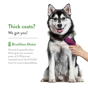 Wahl Professional Animal KM10 2-Speed Brushless Motor Pet, Dog, and Horse Clipper Kit – Berry