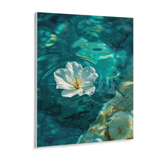 ɉԂ LbgɂG G ͓Iȉ LbghG h DIYG fW^G z[ ItBX (40×50cm, t[t)