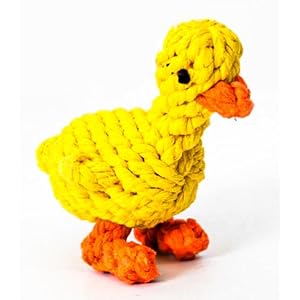 Vaulted Skulls & Co Dog Duck...