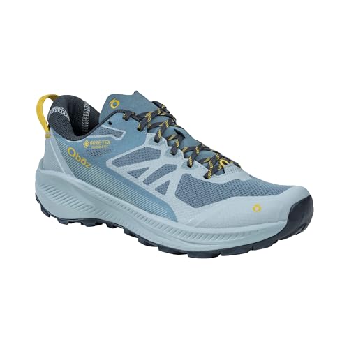 Image of Oboz Men's Katabatic LT Low GTX Hiking Shoe
