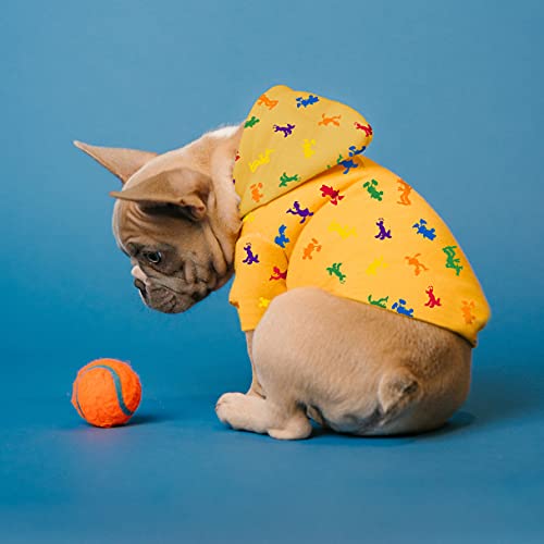 Fábrica Pet Blusa Rainbow Disney 07