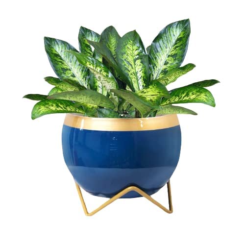 FORKLS Garden Succulent Pot Home Balcony 6 Inch Metal Round Cactus Plant Flower Pots with Metal Stand for Garden & Home Decor (Dark Blue) (B0B2LNKDHK) Amazon Price History, Amazon Price Tracker