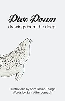 Paperback Dive Down: Drawings from the Deep Book