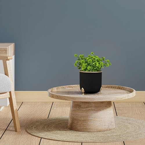 Image of BEHOMA Black Metal Leaf Leg Planter 6 inch Tabletop Planter | Pot for Indoor Outdoor Balcony Living Room | Table Plant Pot with Leaf Leg for Gifting