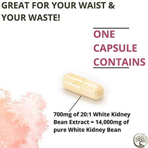 Carb Blocker - 200 Capsules X 700 MG of 100% Pure White Kidney Bean Extract - 20:1 Extract - for Men & Women - Thumbnail 3