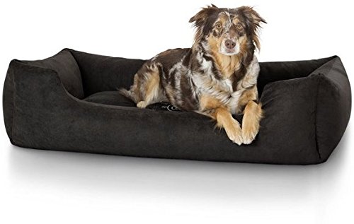 Reversible Dual Ultra Soft Velvet Luxury Sofa Bed PET Bed | Dog Bed | CAT Bed | Puppies Puppy Bed | Rabbit Bed (Size : Medium) Product Dimension : 75 * 55 * 20 CM.,Black
